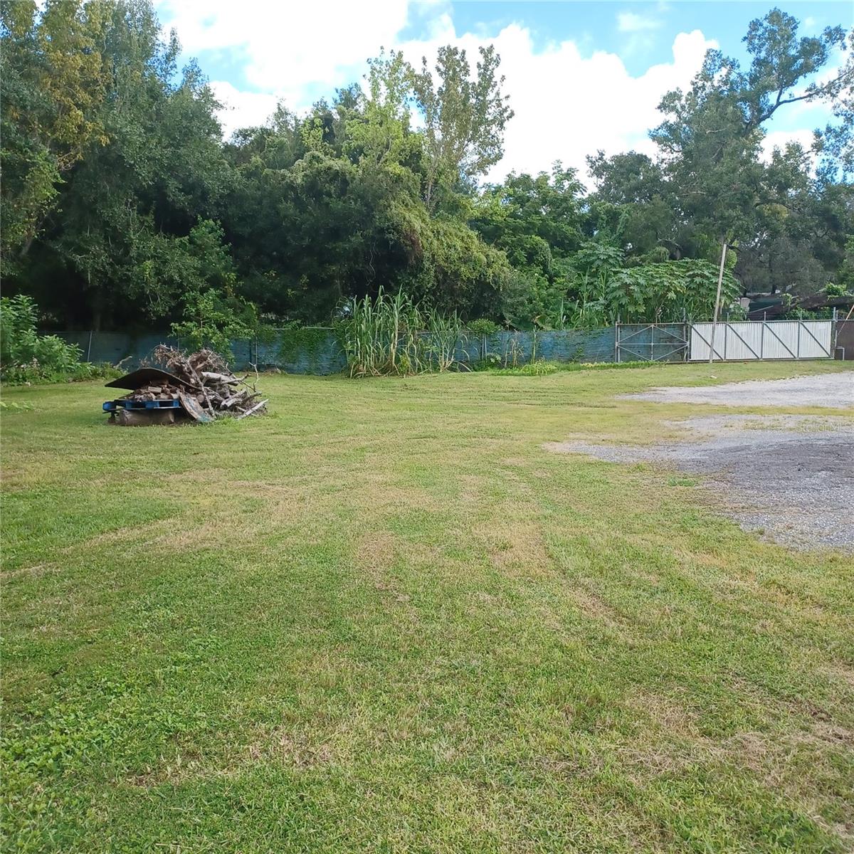 Back Yard