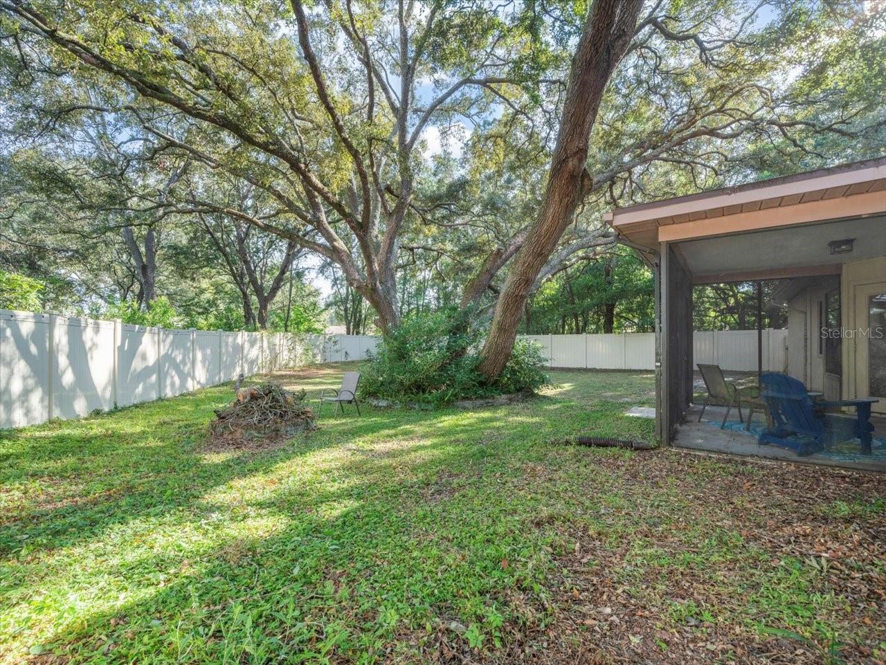 Backyard