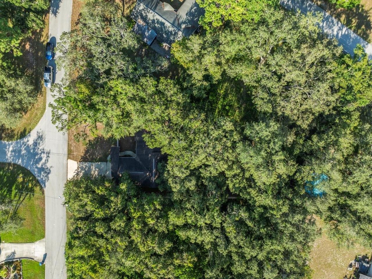 Overhead View
