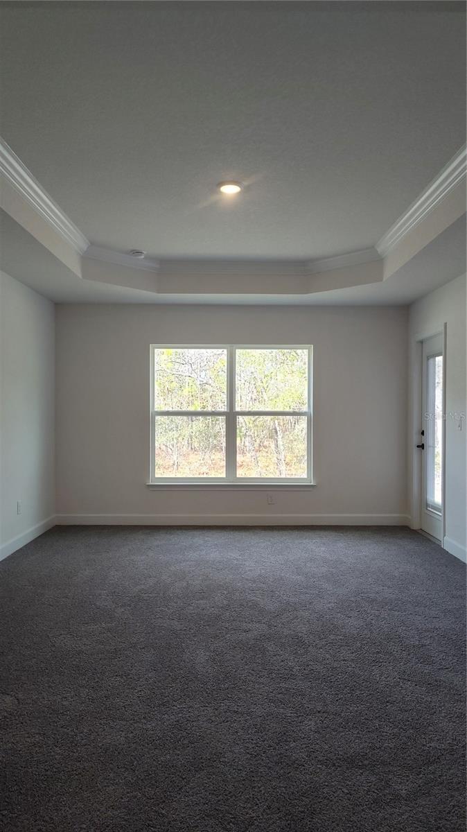 Primary w/Crown Molding