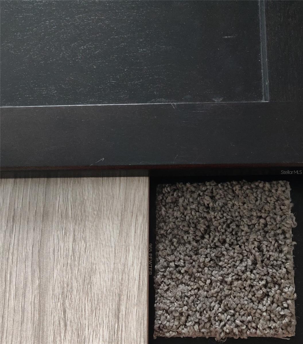 Interior Color Scheme