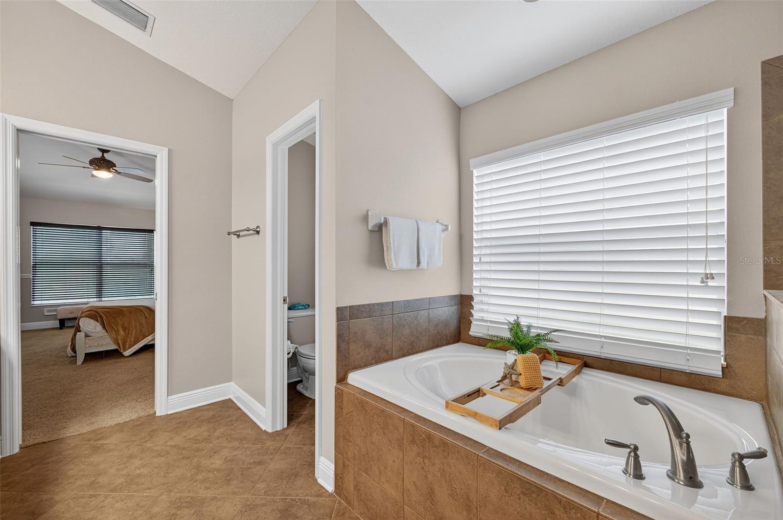 Primary Bathroom toward Closet