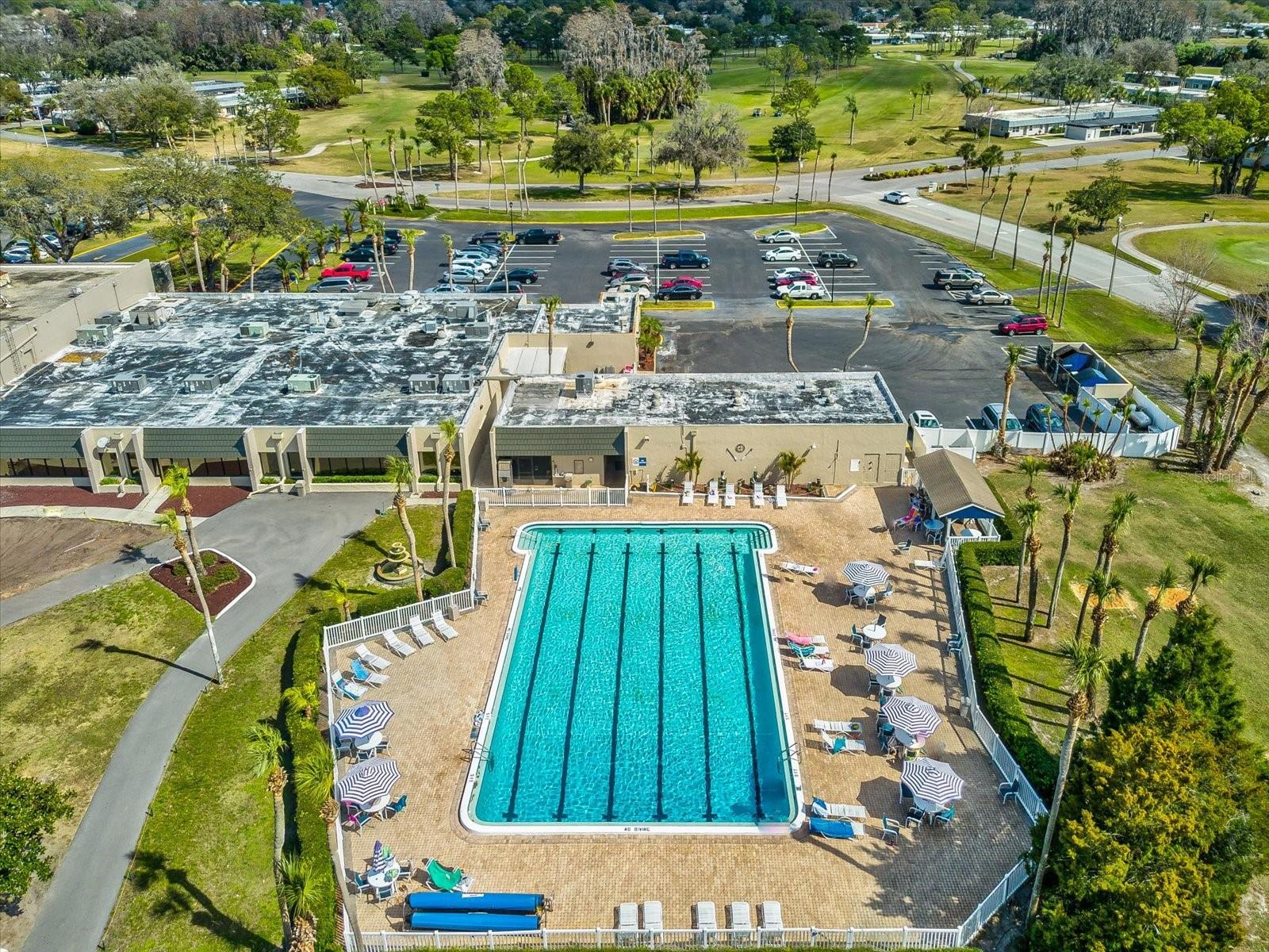 Lap Pool