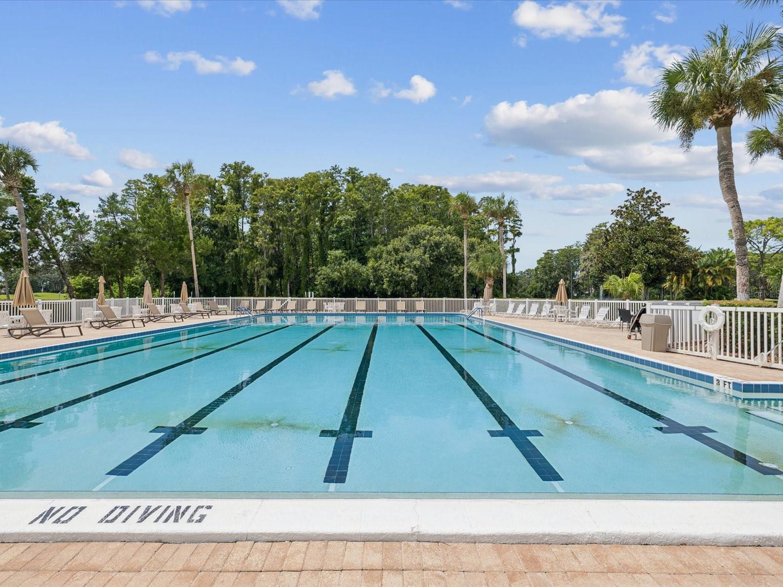 Lap Pool