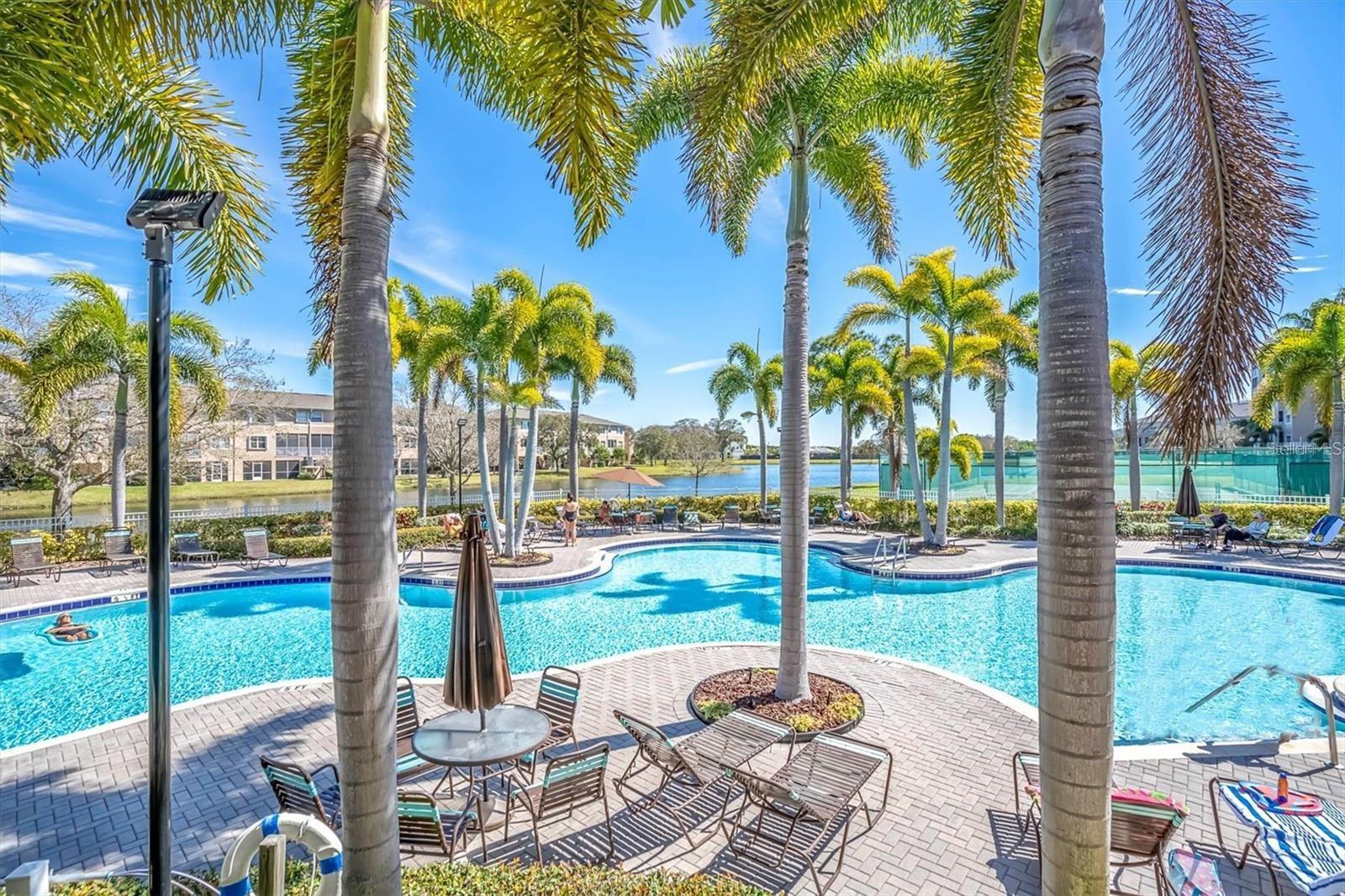 Seminole Isle Pool
