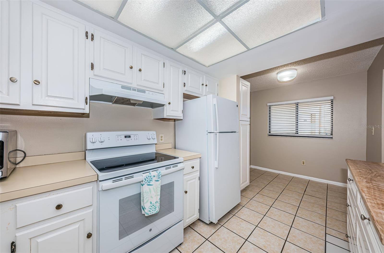 Kitchen - Lots of Storage and Counter Space
