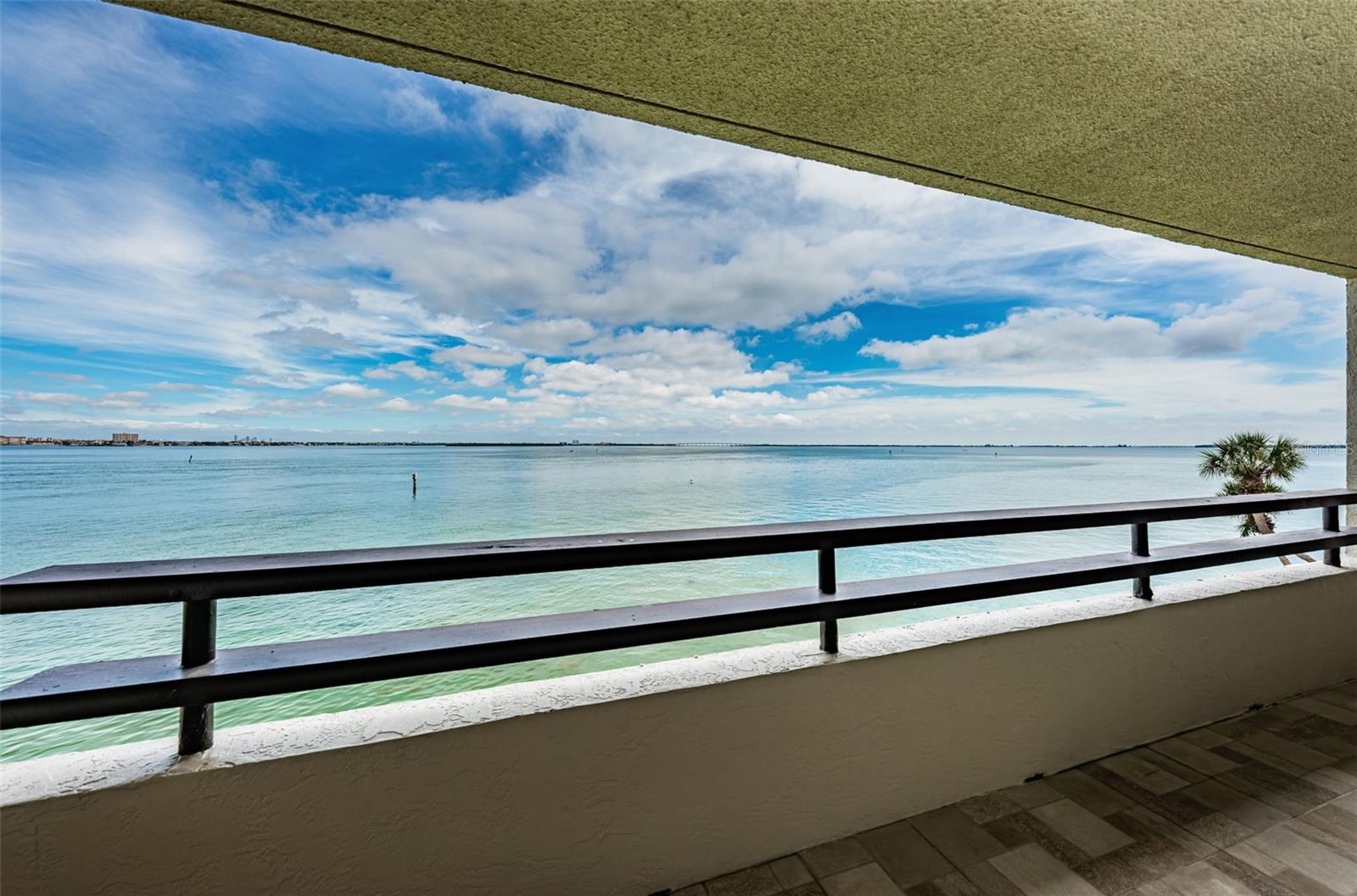 Stunning Views of Beautiful Tampa Bay from Cover