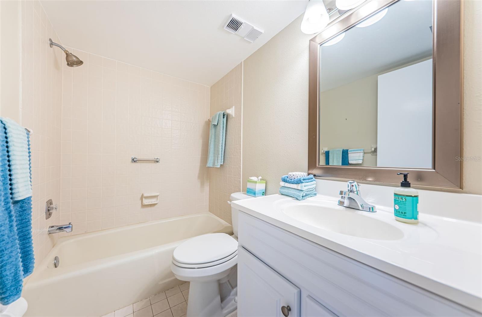 Guest Bath