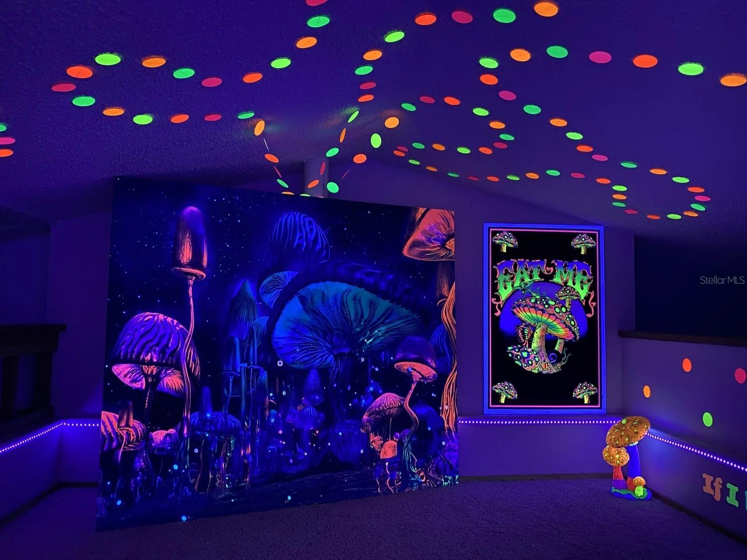 Loft Black Light Fun!