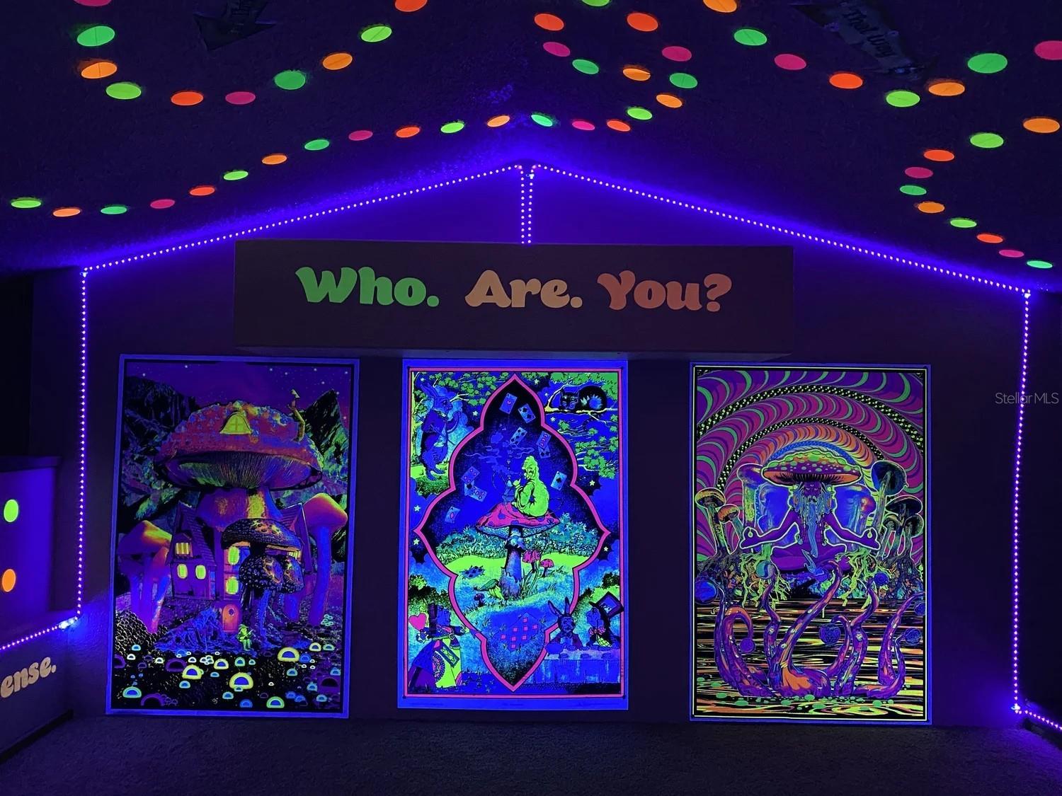 Loft Black Light Fun!