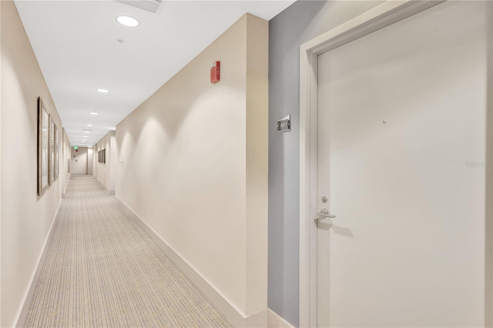 Hallway/Front Door