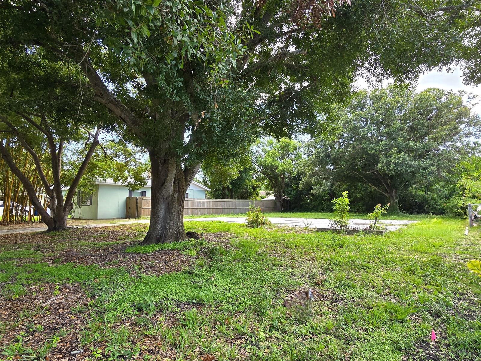 Lot Pre-Construction