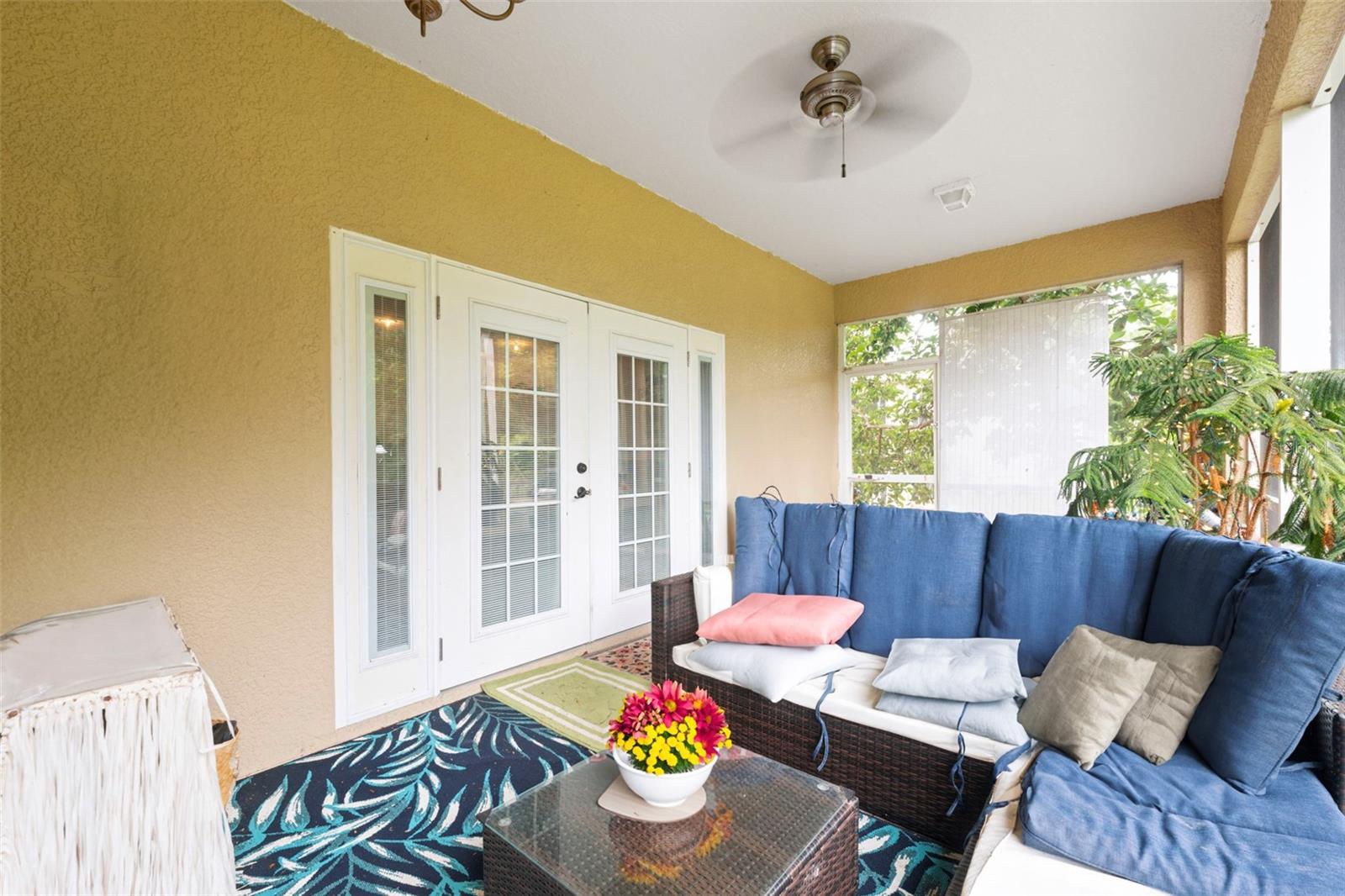 Back Patio.