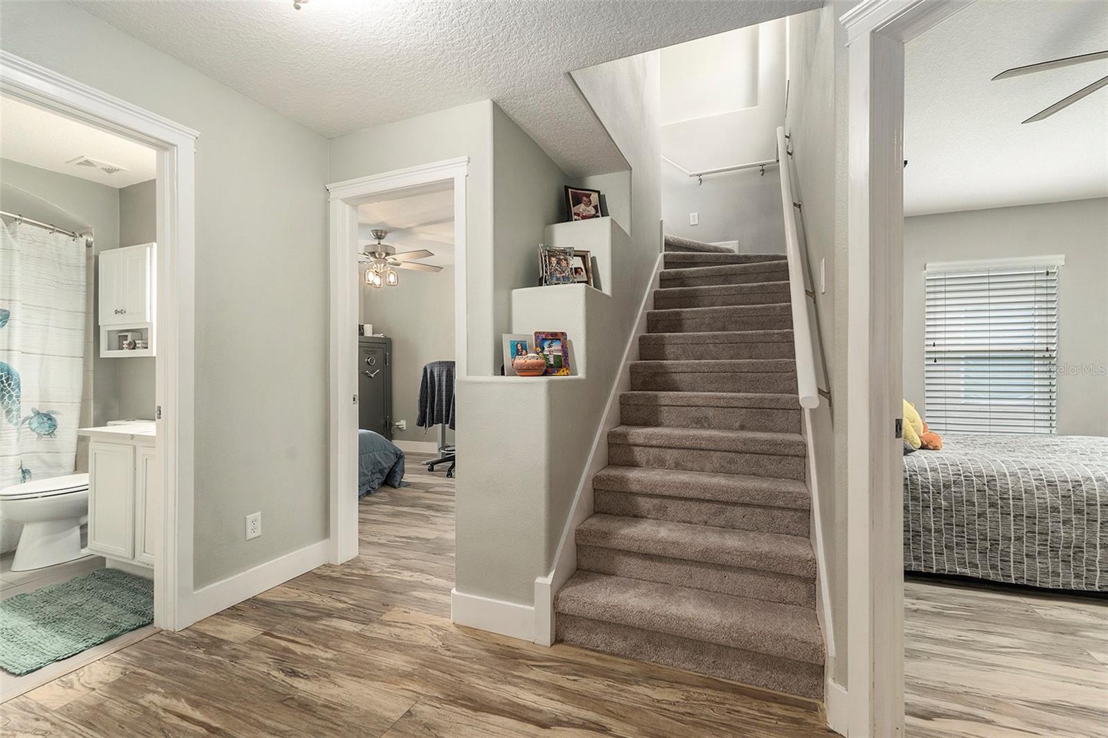 16422 Bridgewalk Drive, Lithia, FL 33547 - Stairs