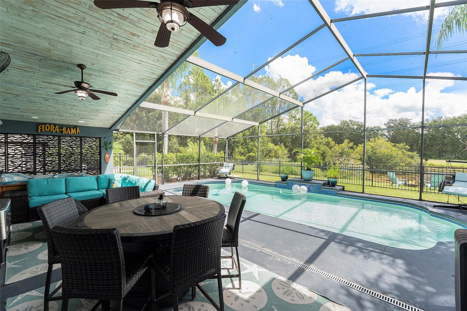 16422 Bridgewalk Drive, Lithia, FL 33547 - Poll/Patio
