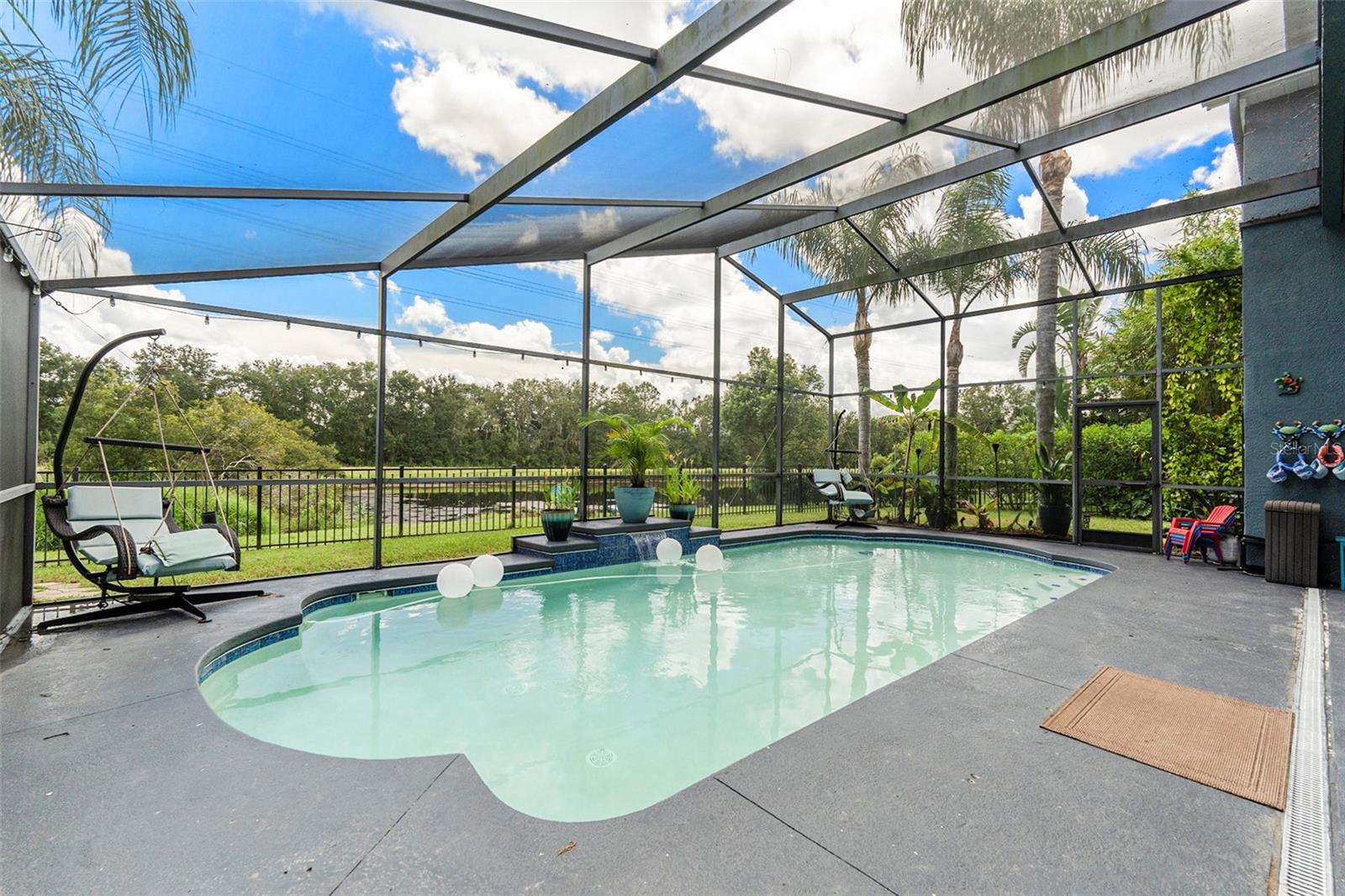 16422 Bridgewalk Drive, Lithia, FL 33547 - Pool