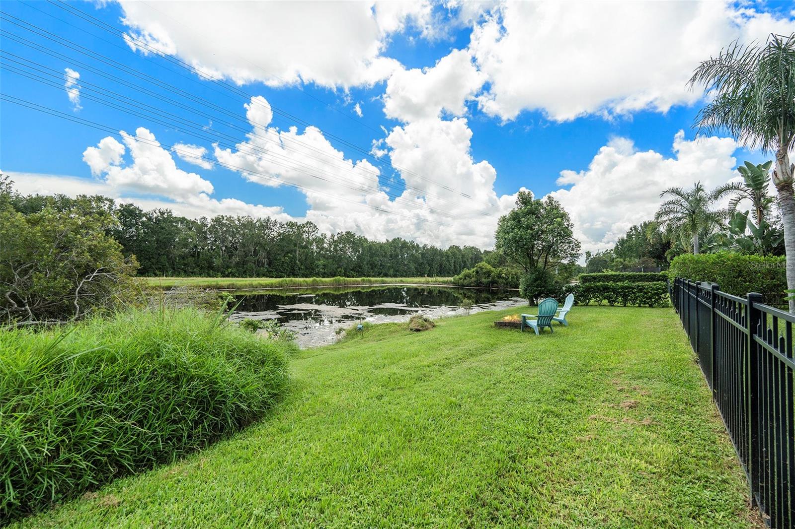 16422 Bridgewalk Drive, Lithia, FL 33547 - Fire Pit/Pond View