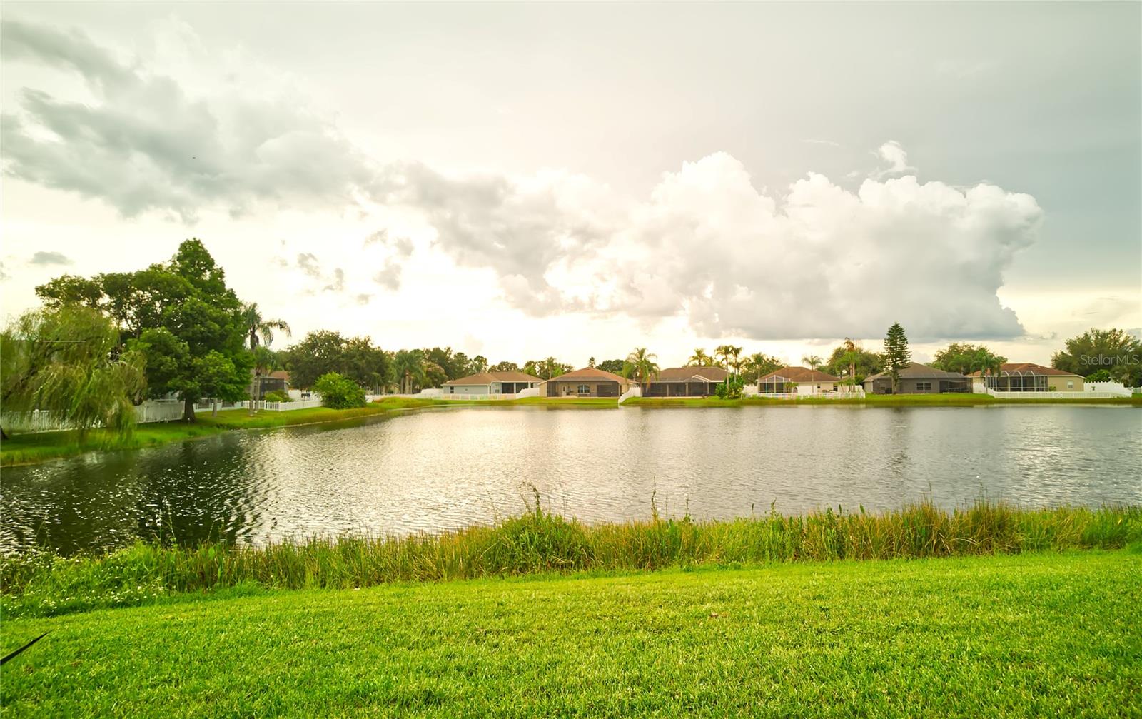 Enjoy the natural beauty of your own backyard!