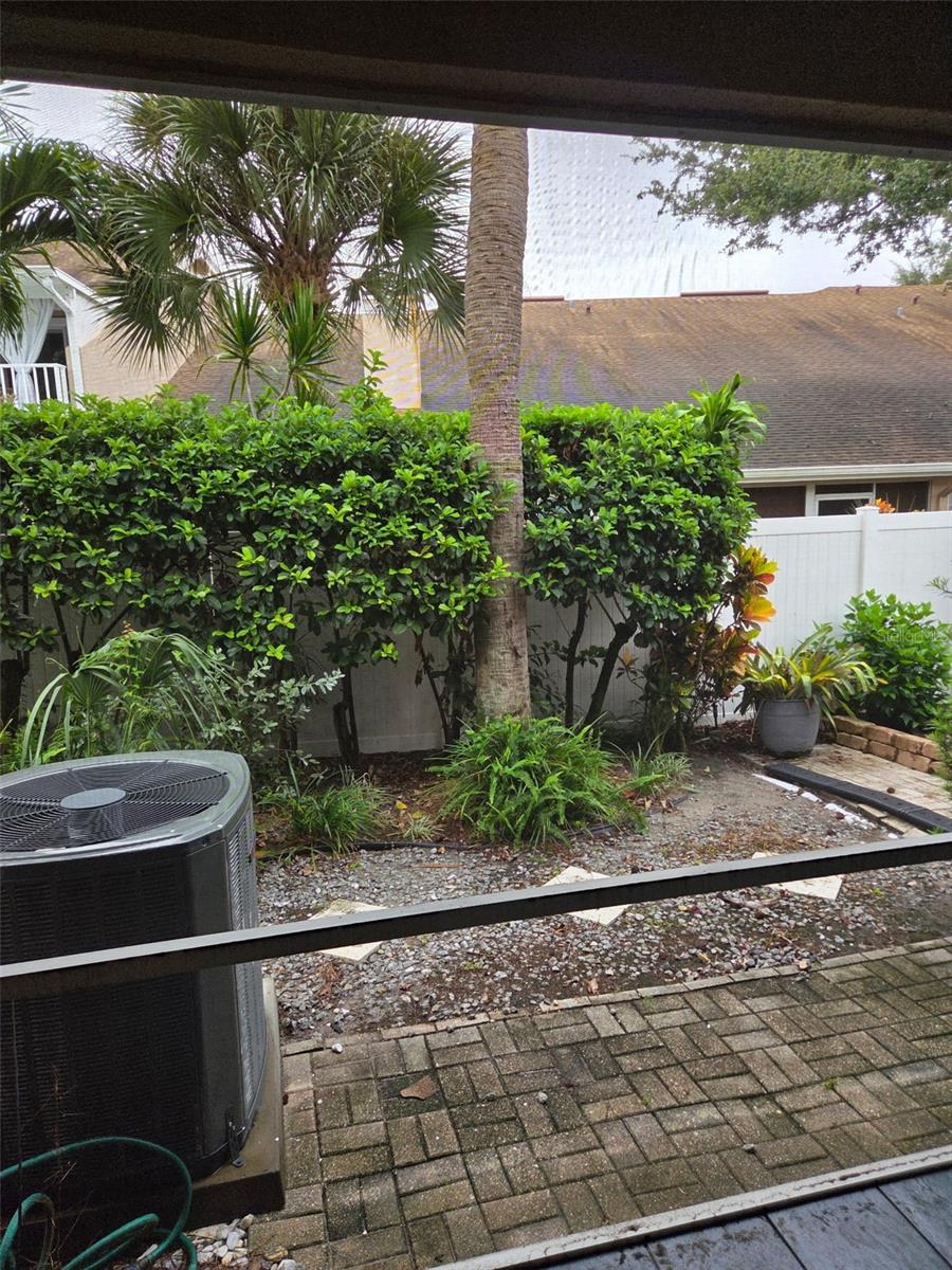 Back Yard.