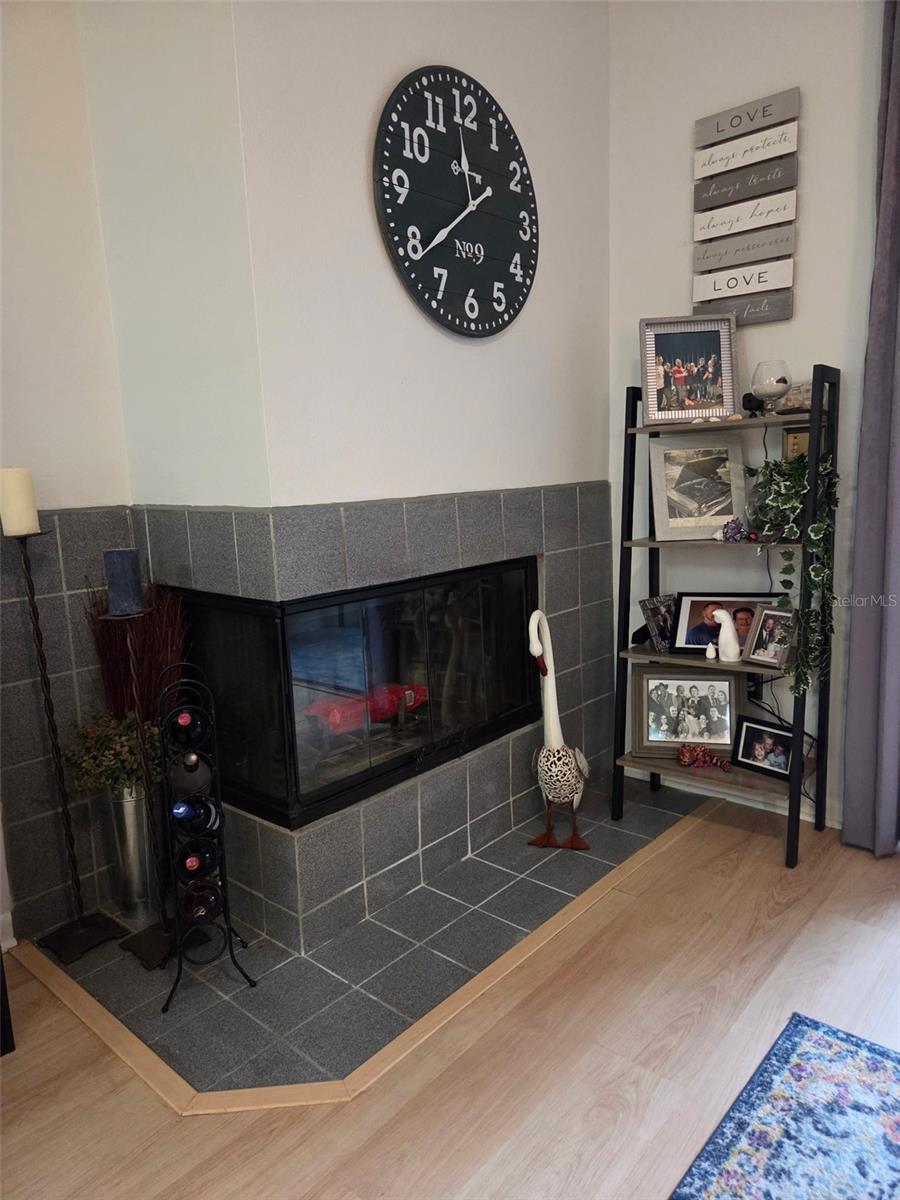 Fireplace.