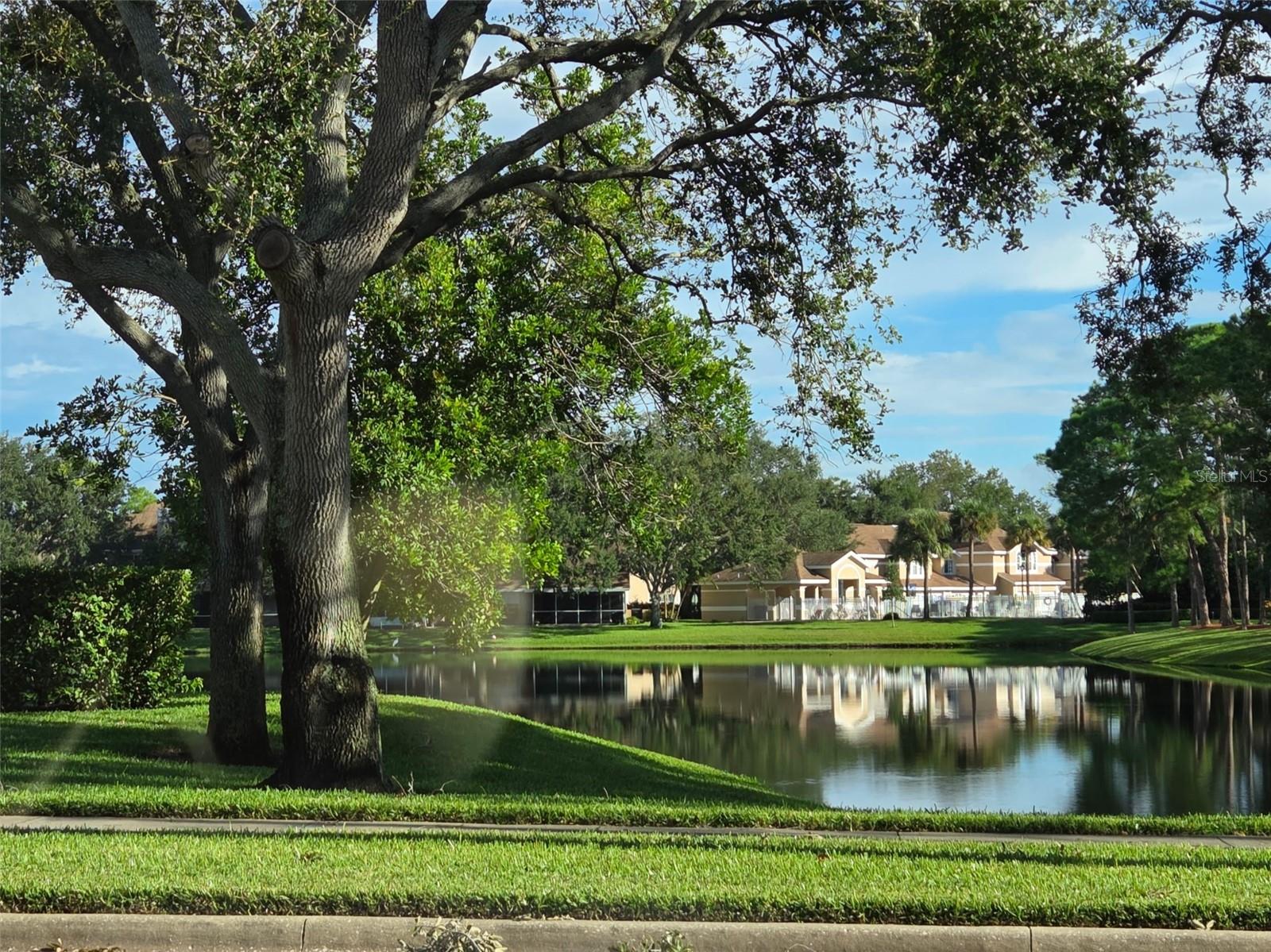 Lake in front of complex.