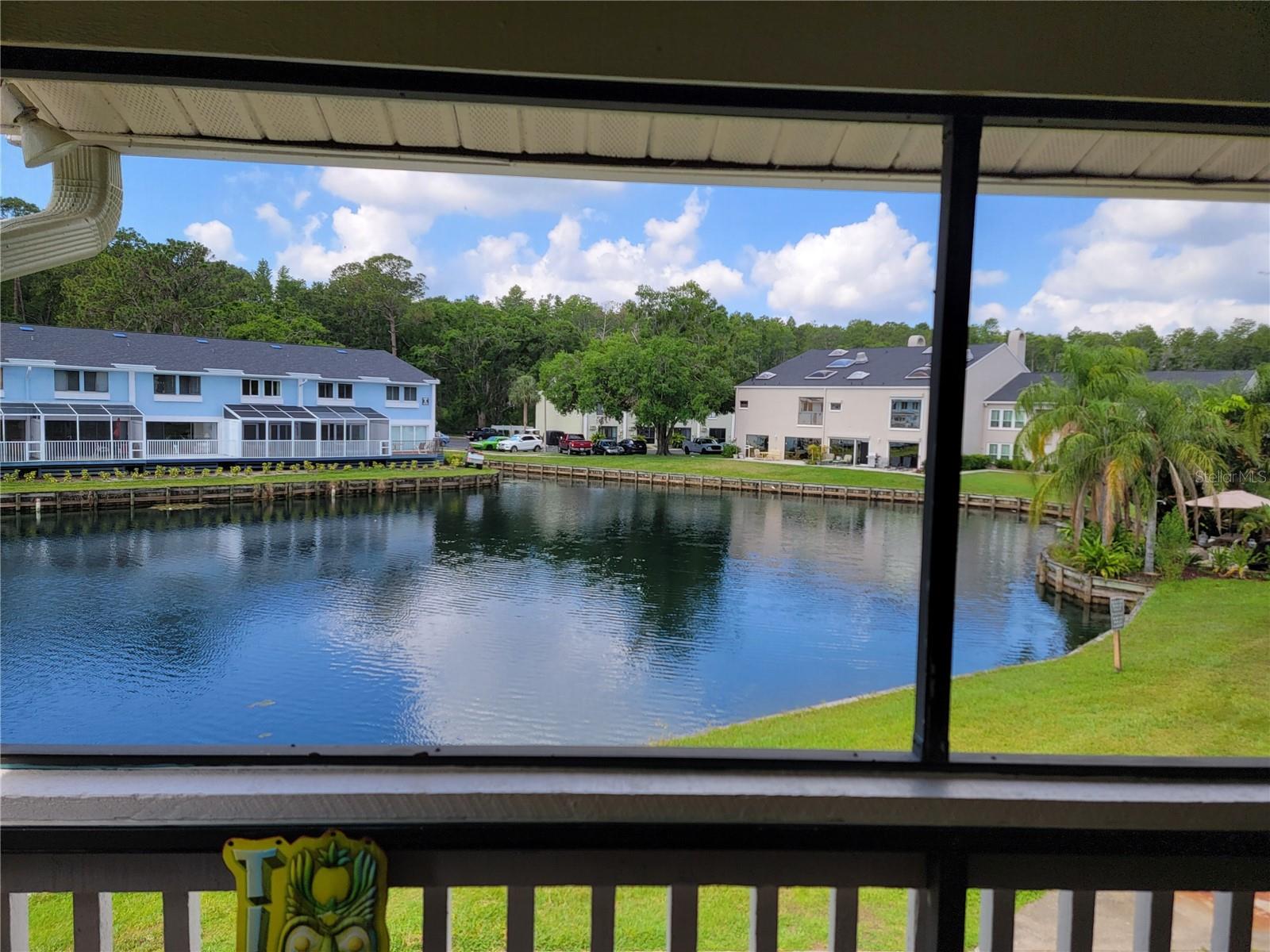 Private screen porch view