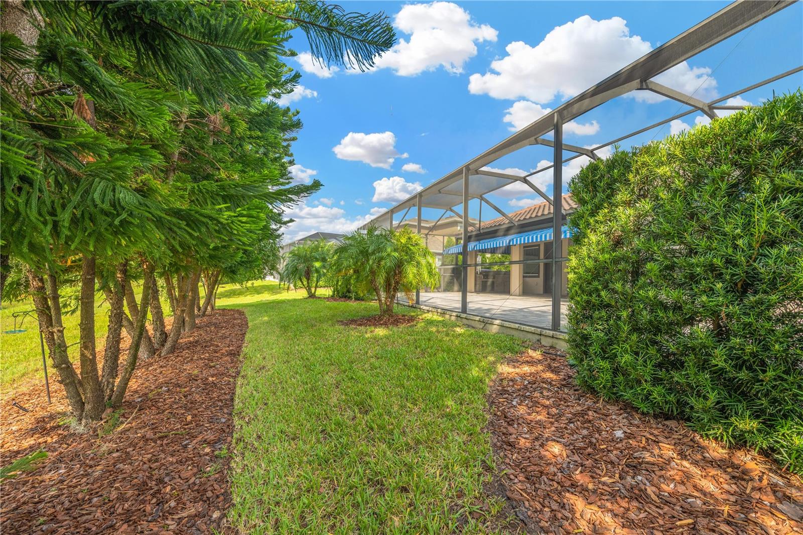 Backyard 01