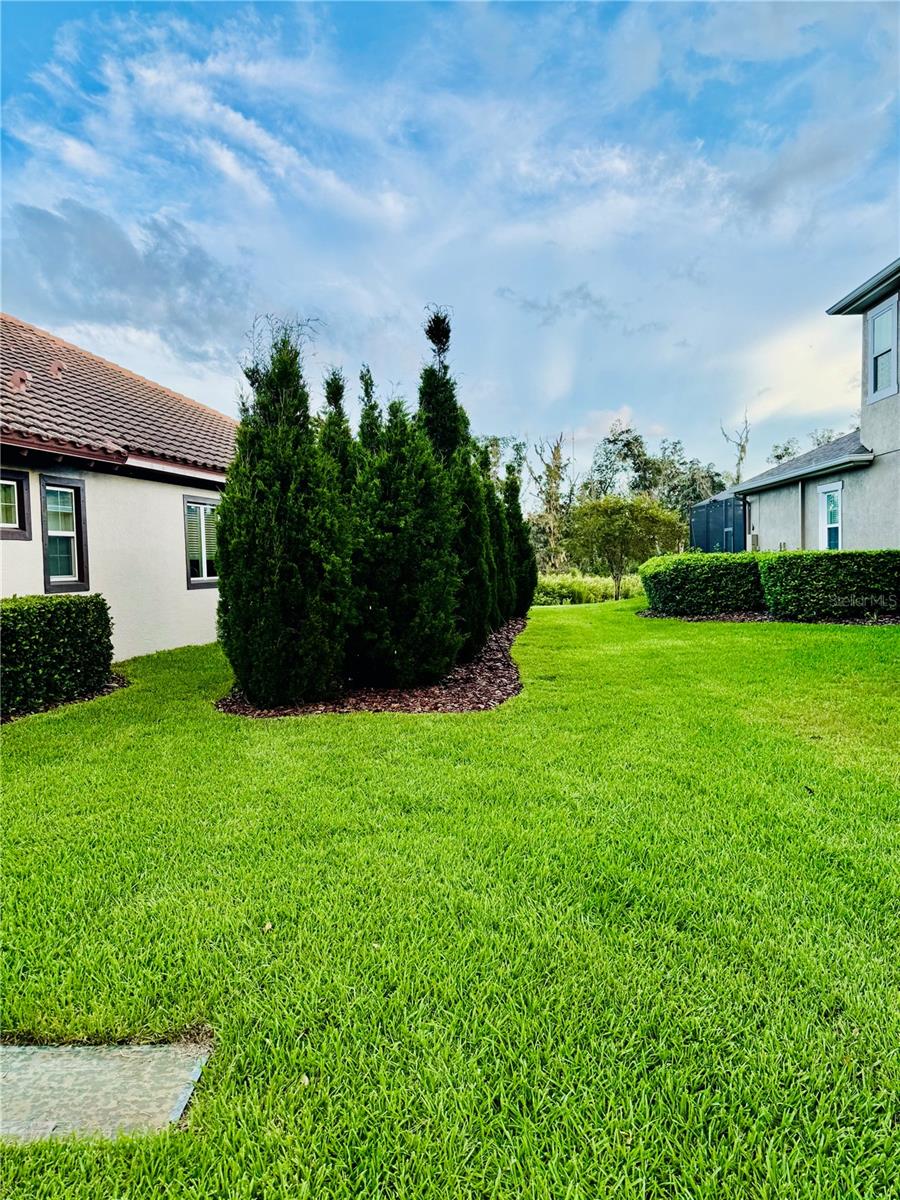 Side yard 01