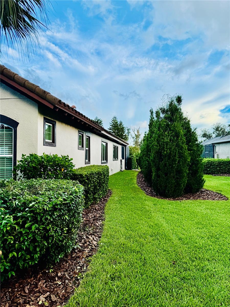 Side yard 02