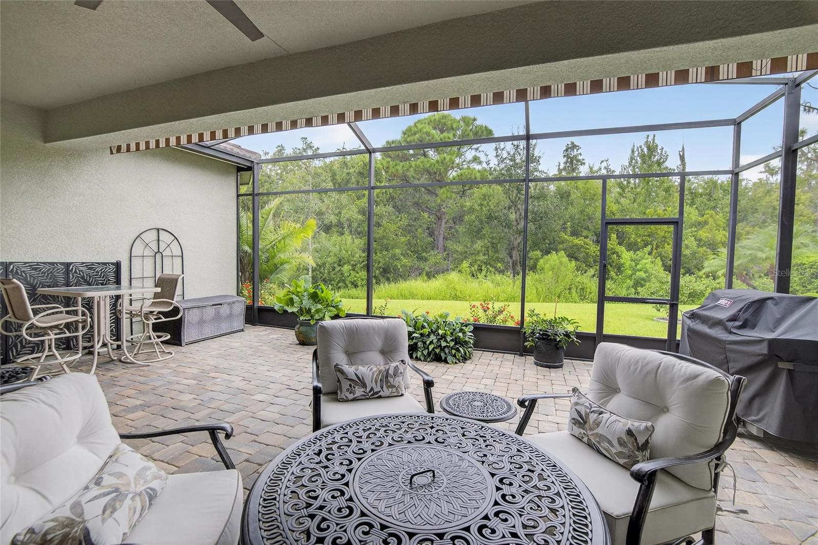 Screened Lanai View