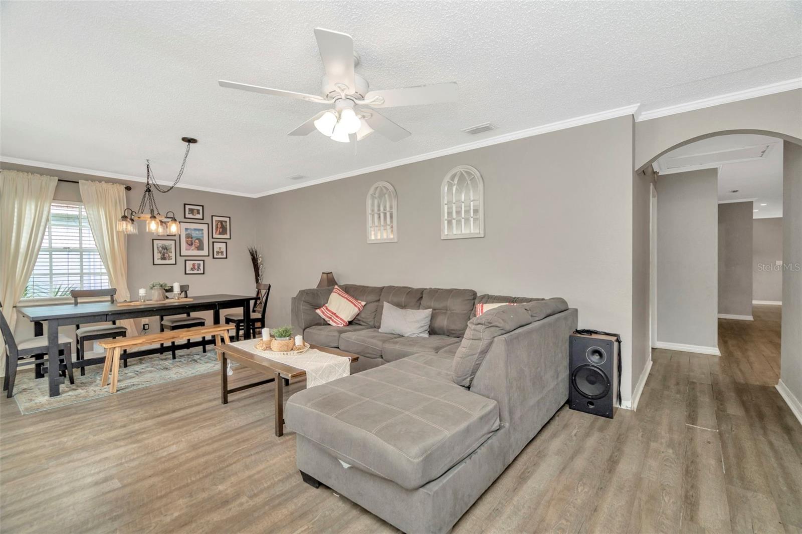 Living / Lounge Room