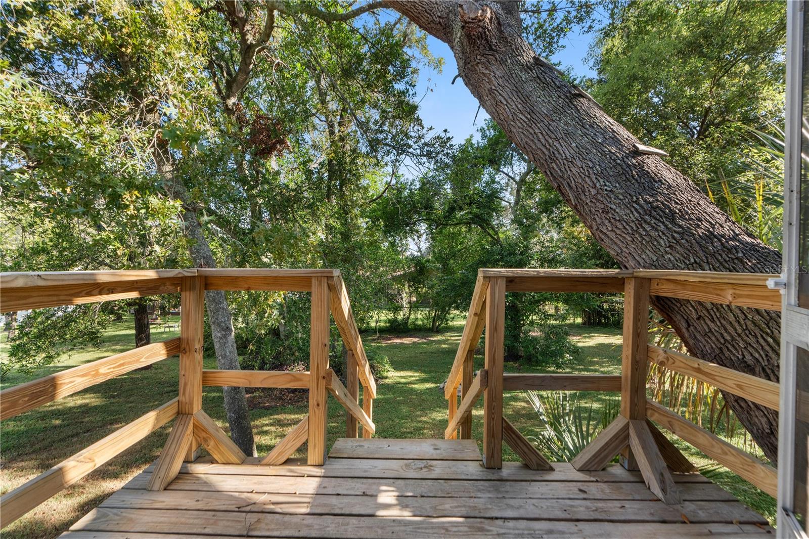 Back Deck