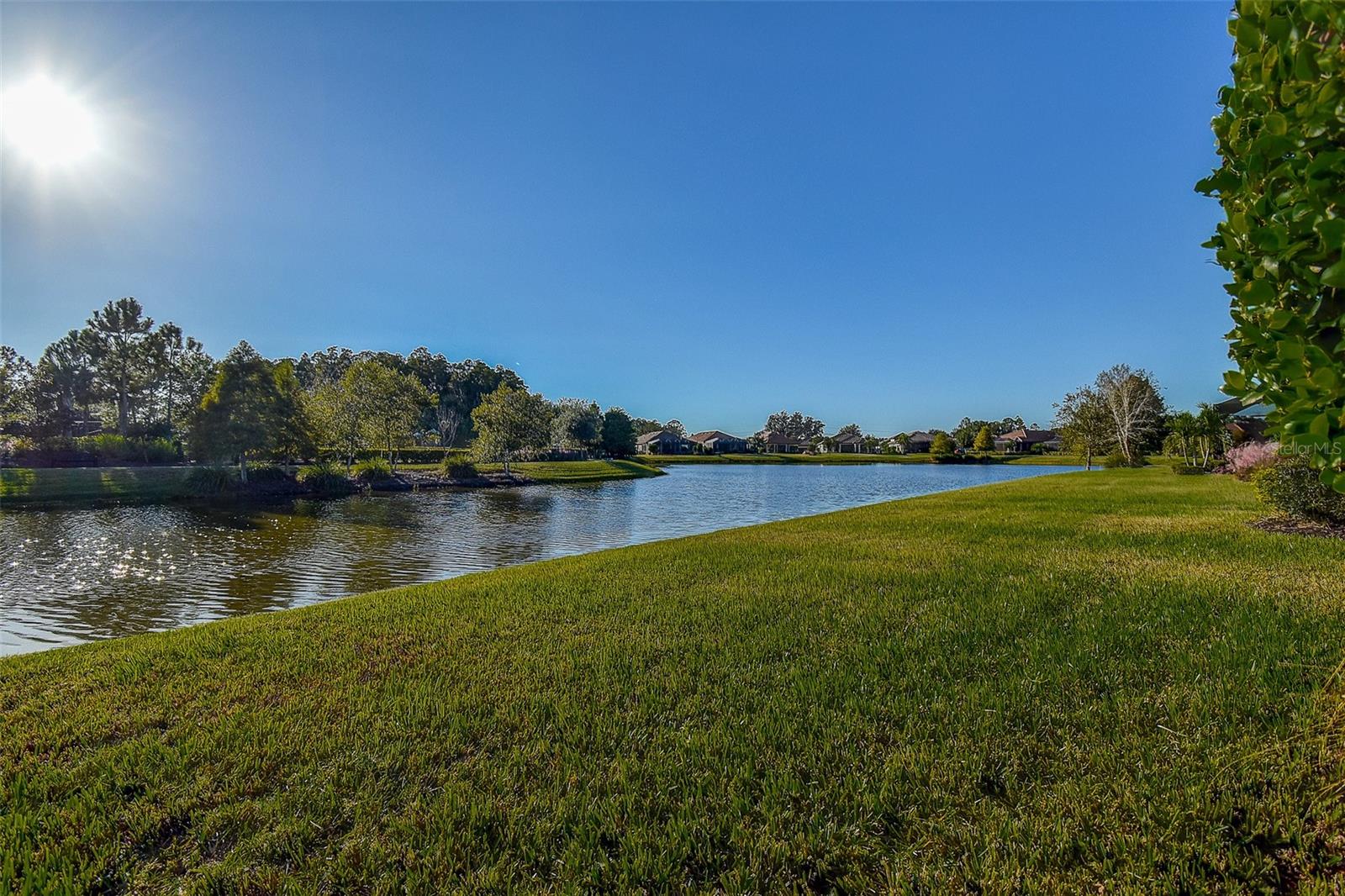 Pond View