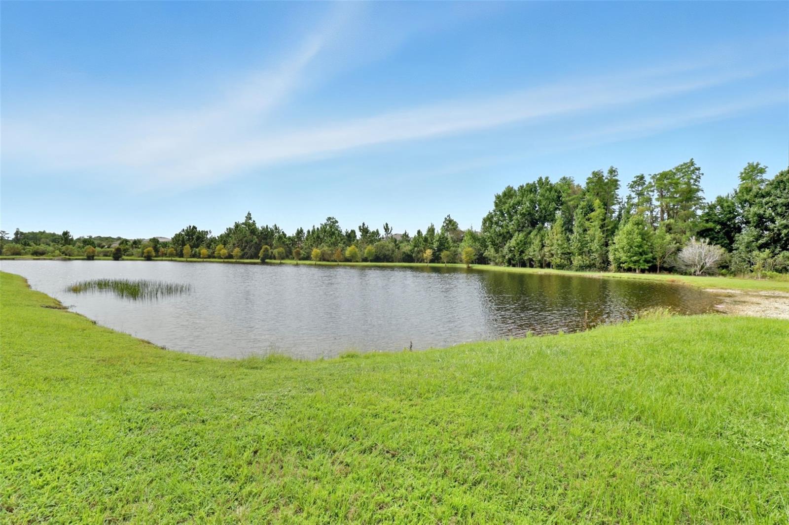 Enjoy beautiful conservation views from your own back yard!