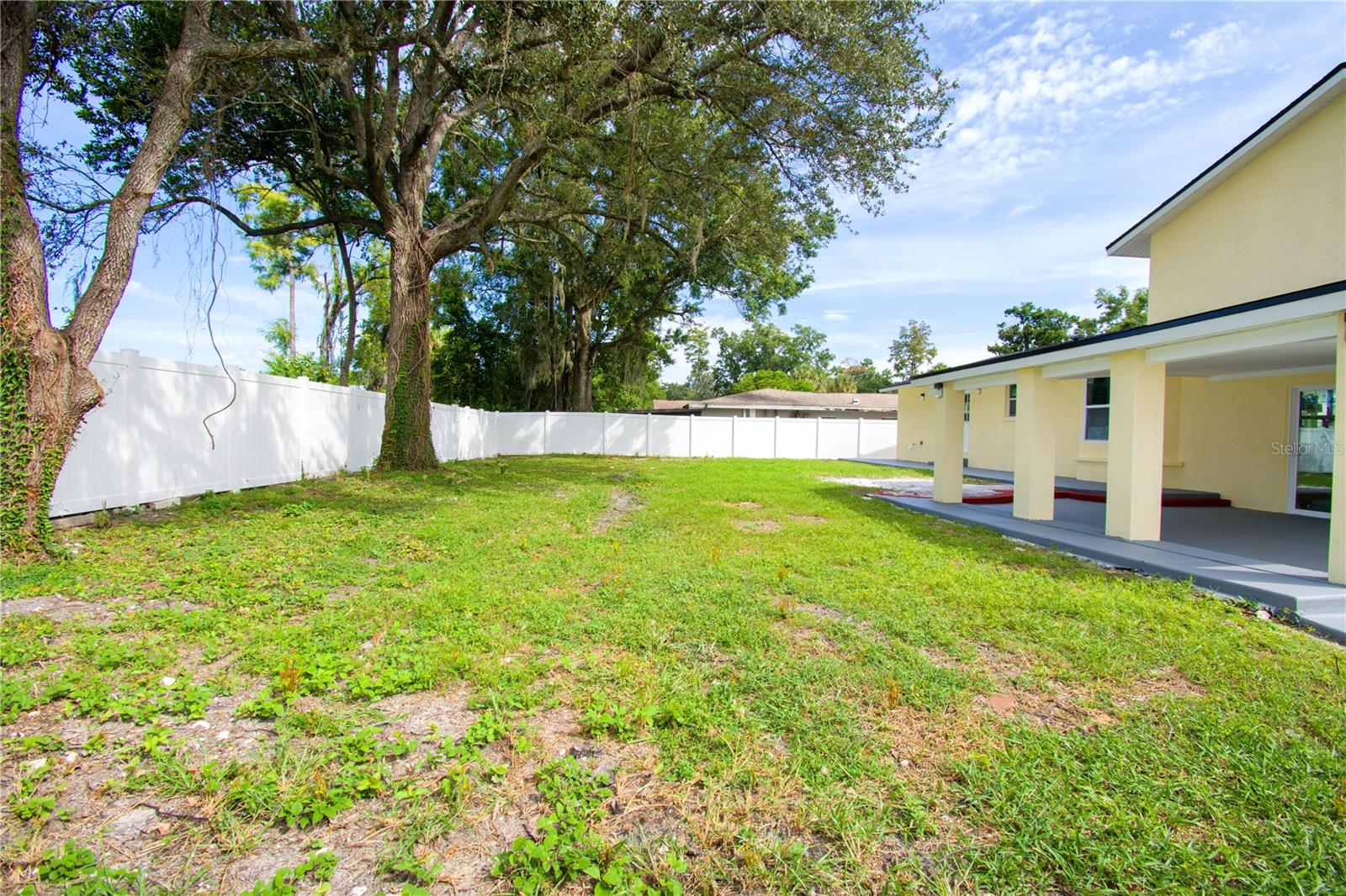 Backyard