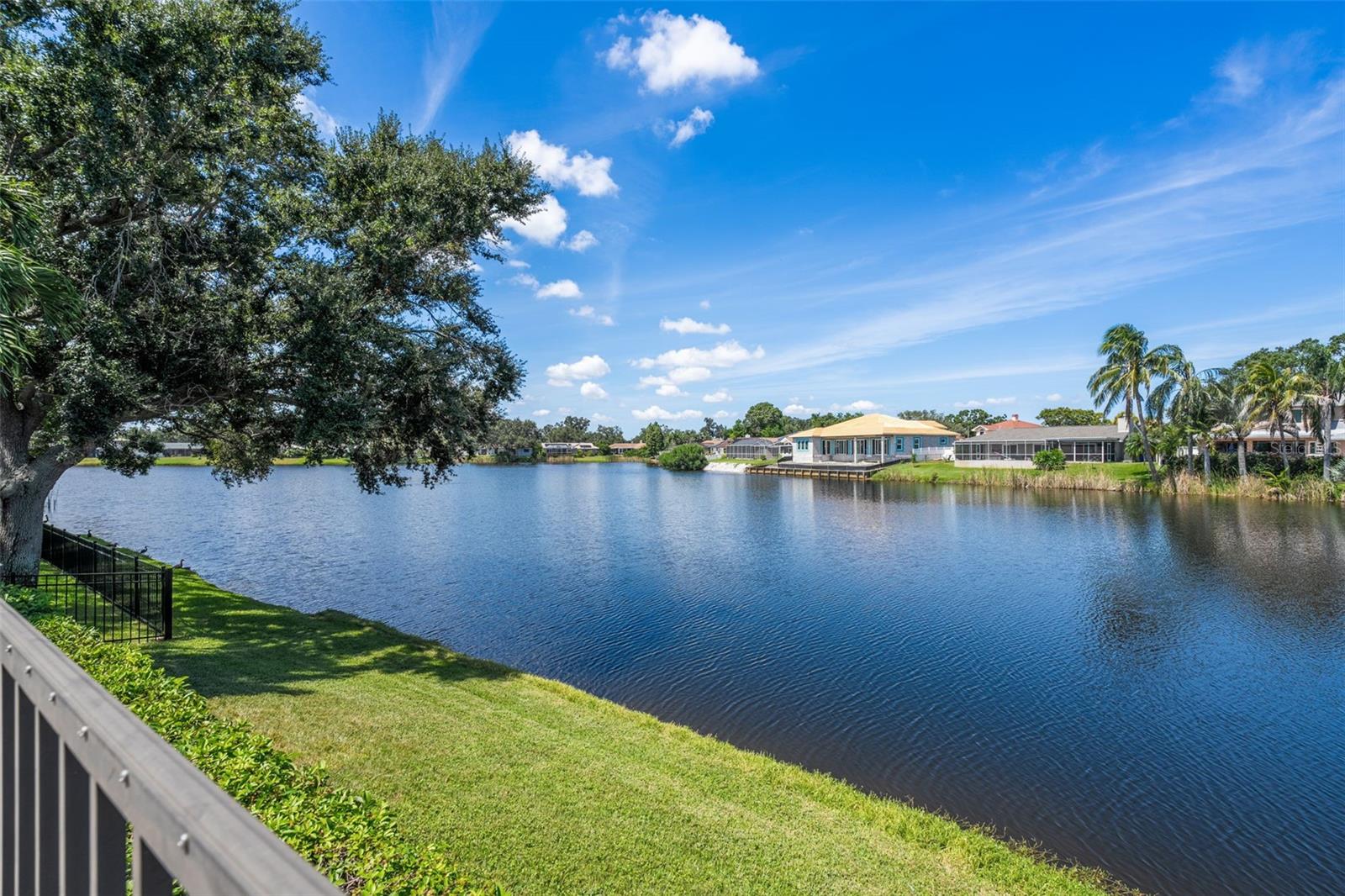 Pond View