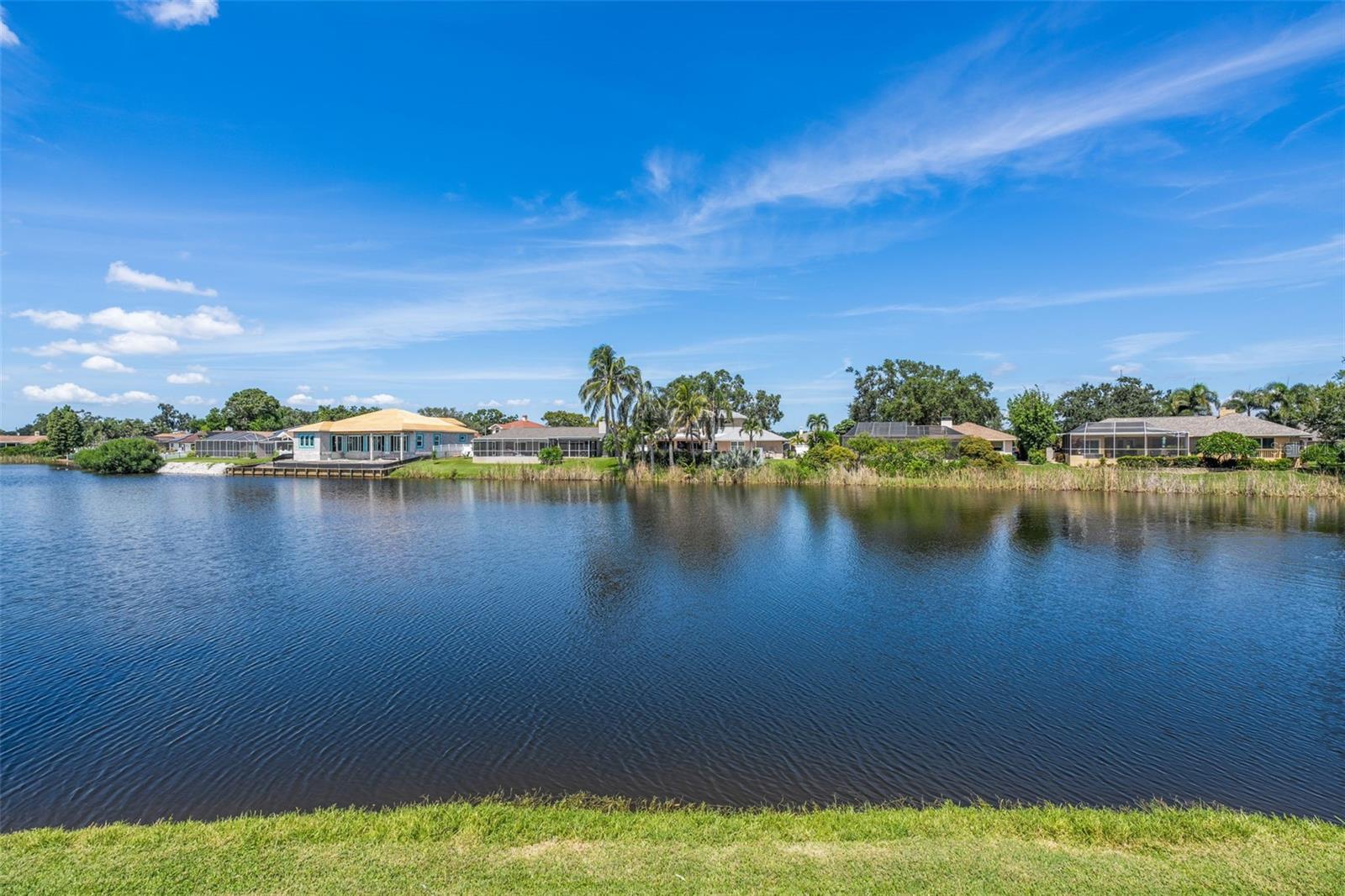 Pond View