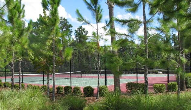 Lighted Tennis