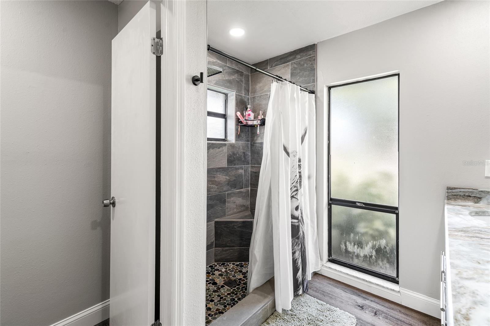 Primary Bathroom Shower