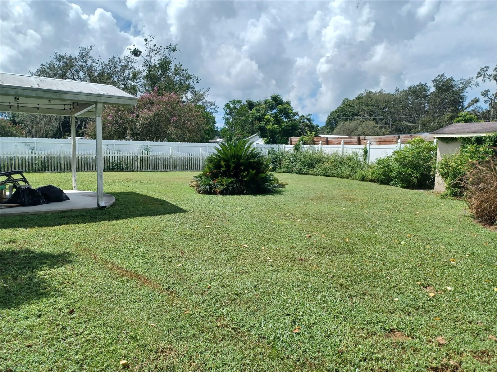 Backyard