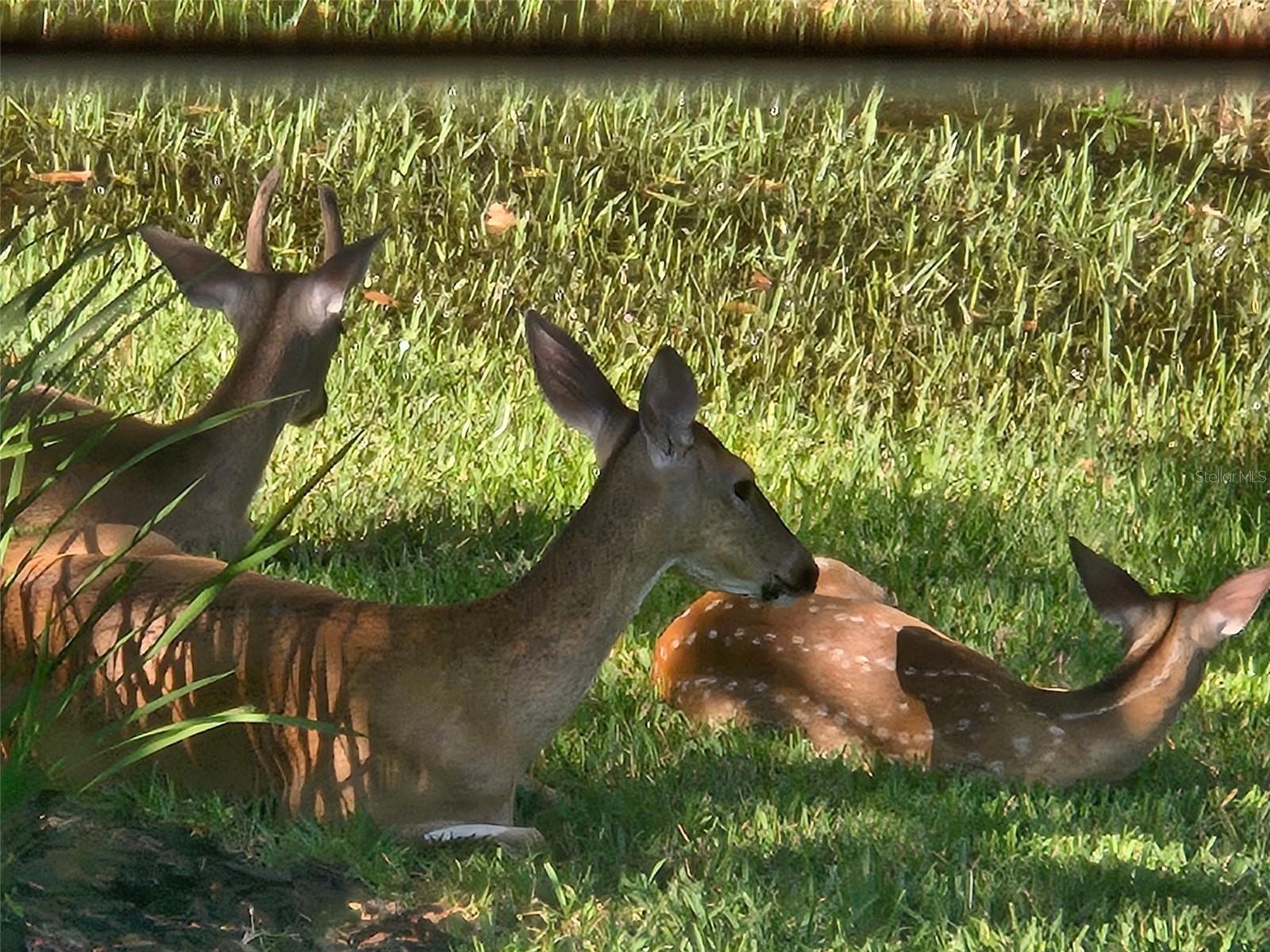Visitors