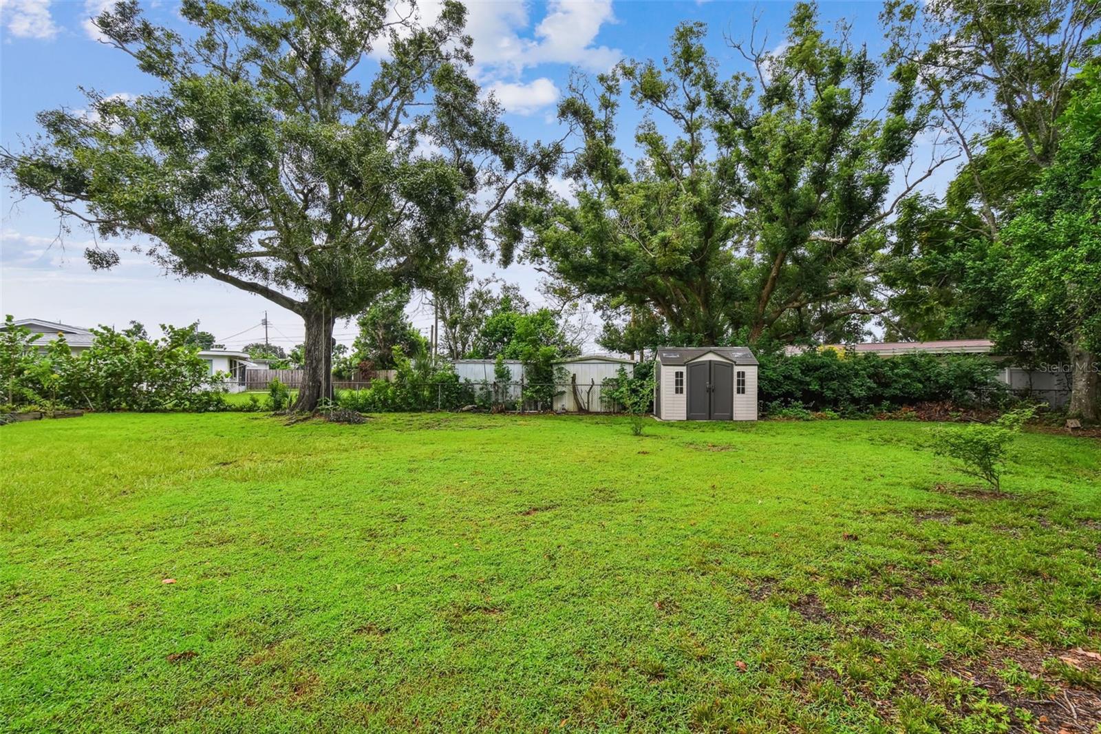 The spacious backyard