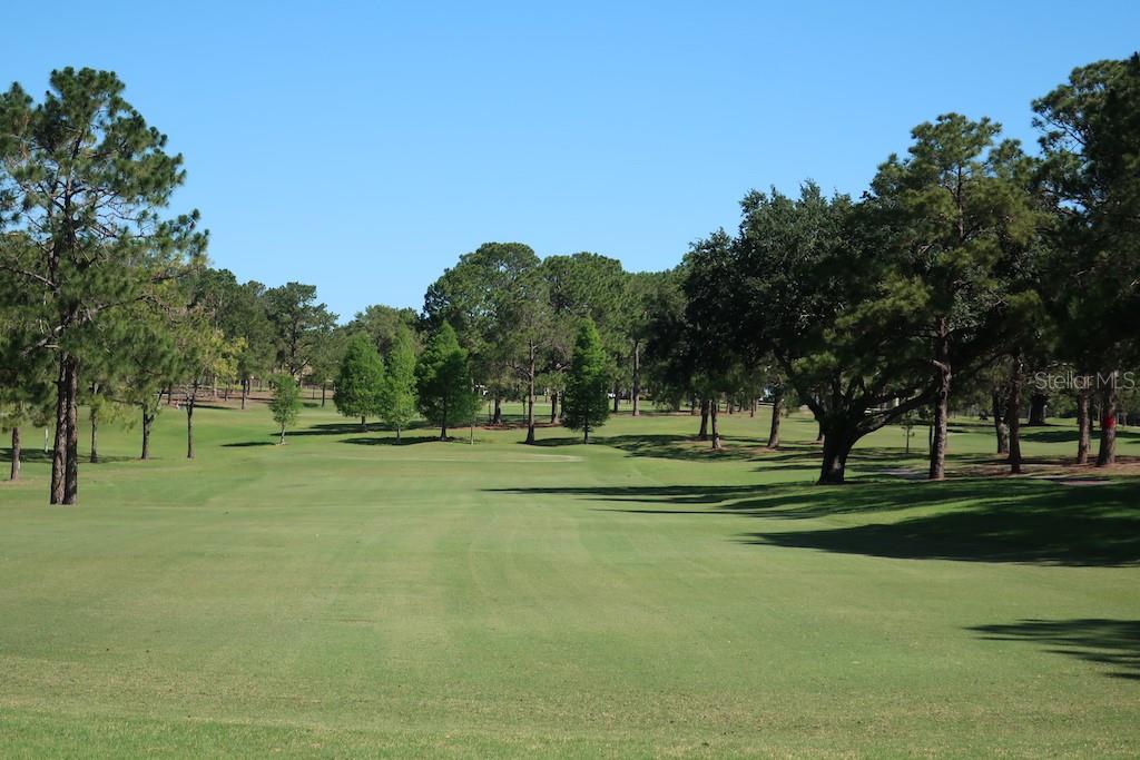 golf course