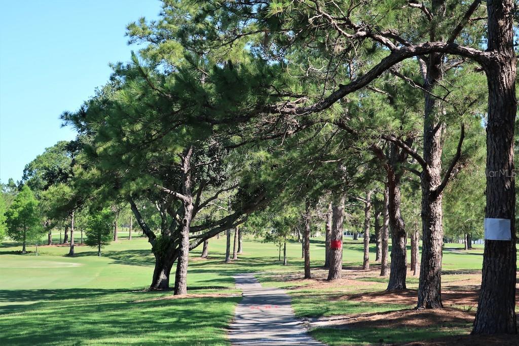 golf course