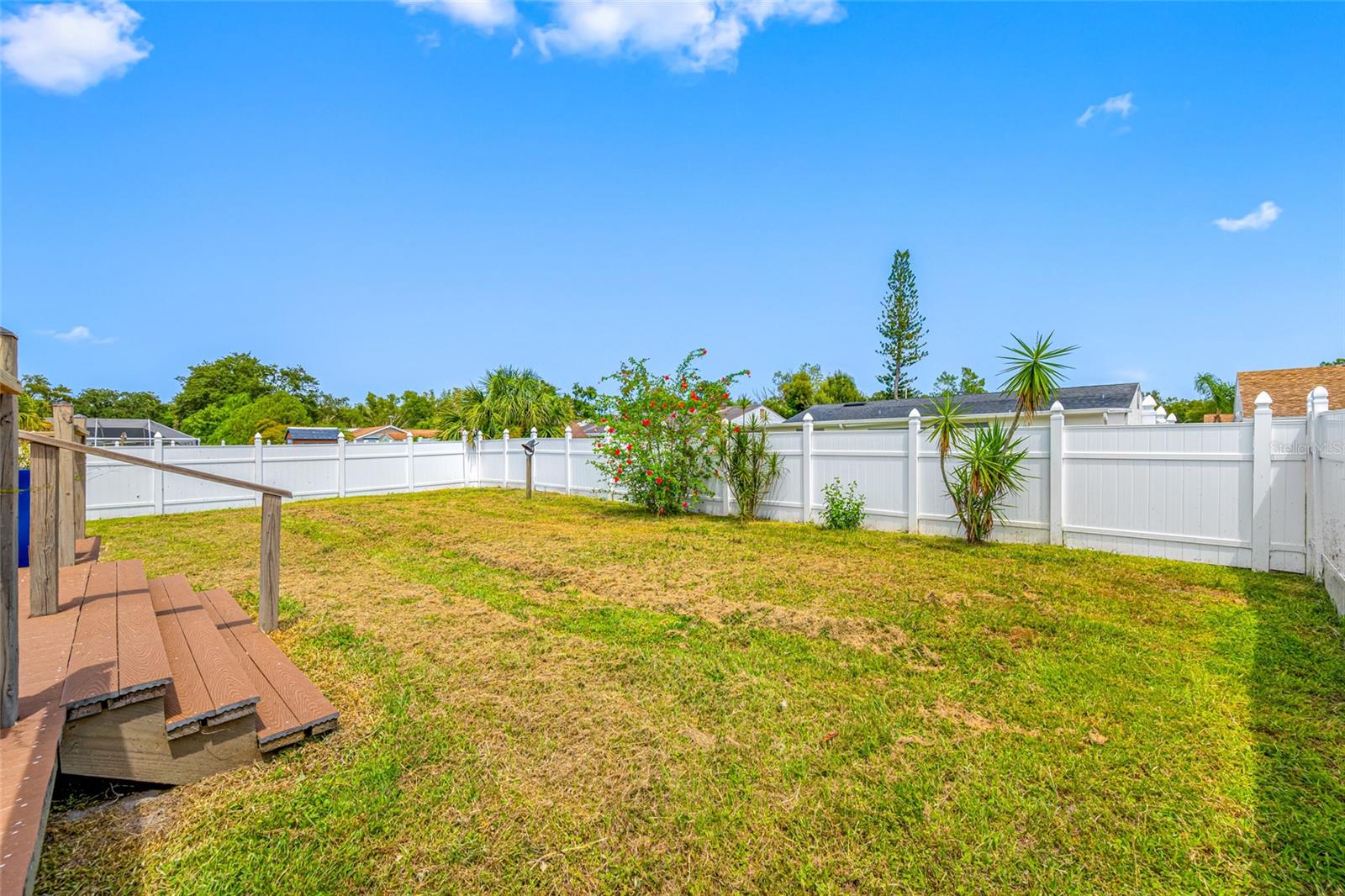 Fenced Backyard