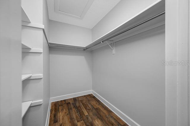 Primary Walk in Closet
