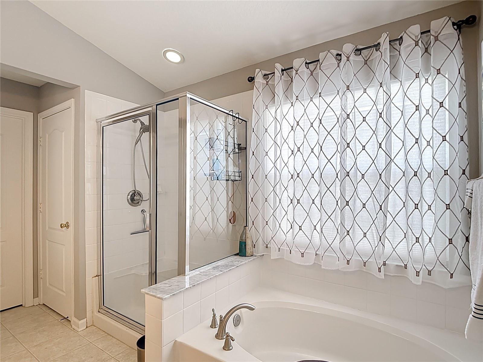 Shower with Separate Soaking Tub