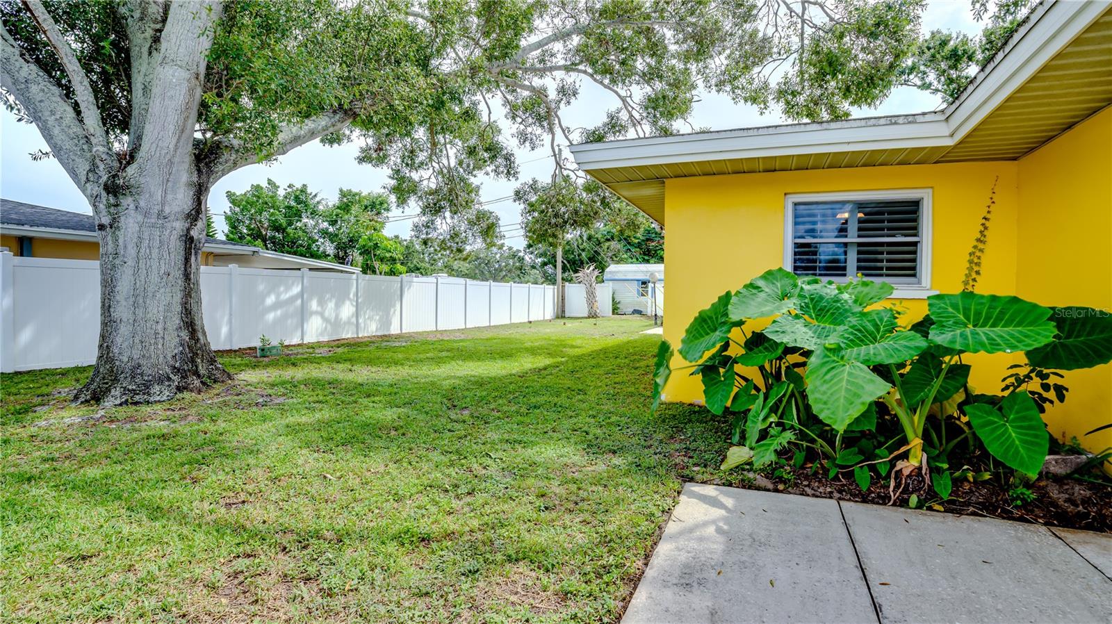 Exterior Side Backyard