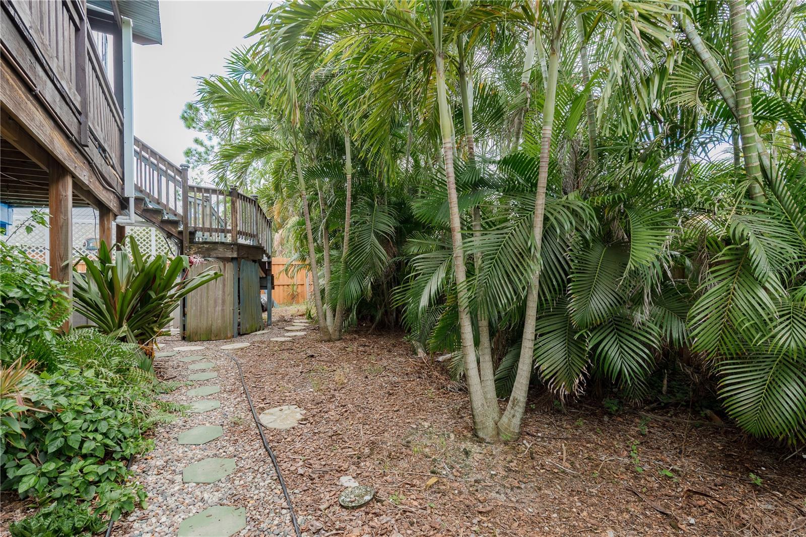 Side Yard