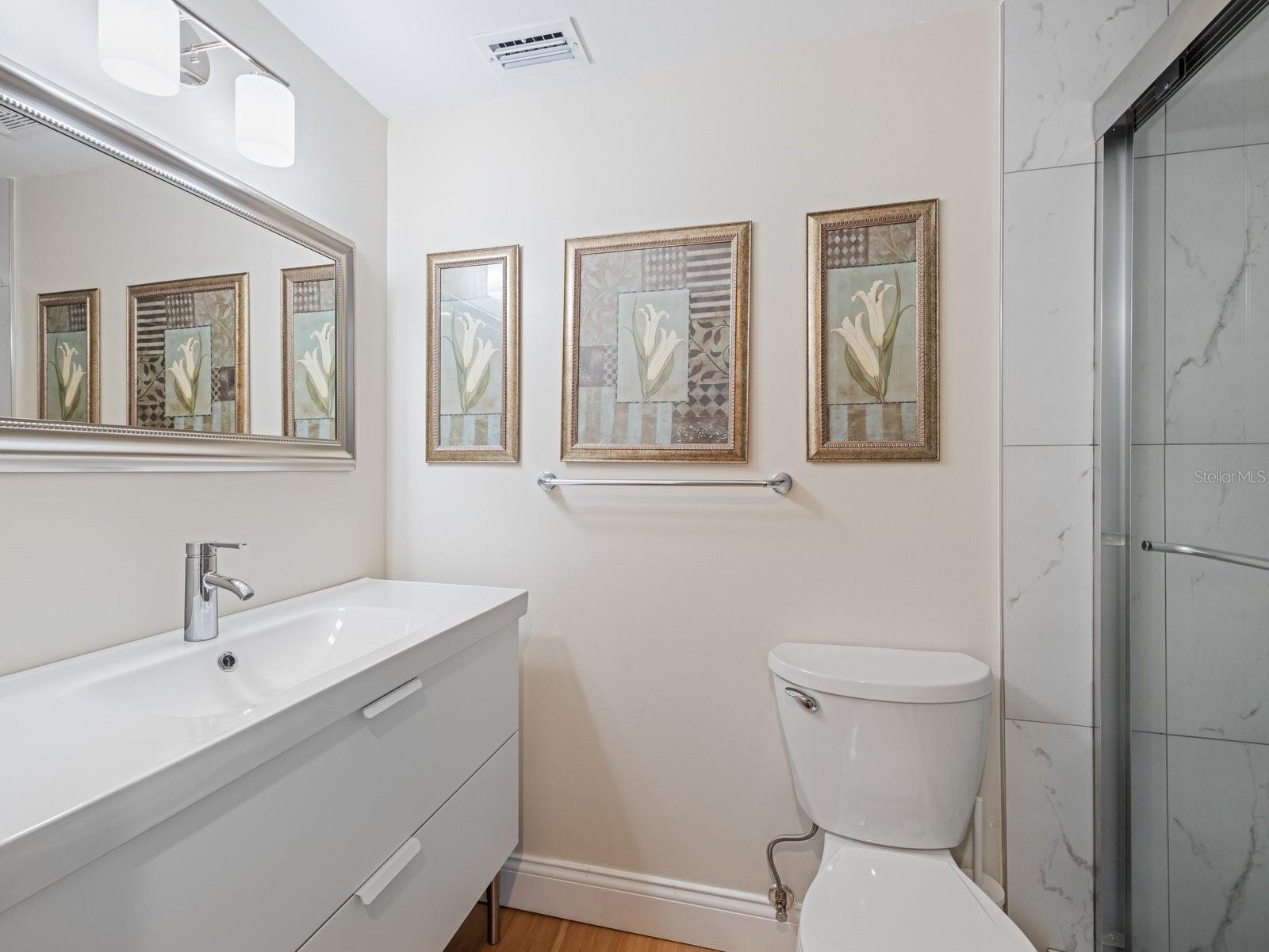 Guest bathroom